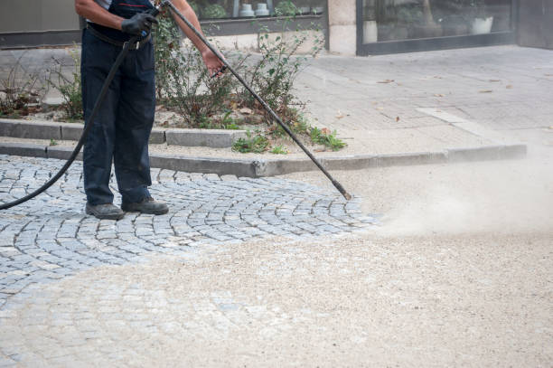 Best Driveway Pressure Washing  in Golden Triangle, NJ
