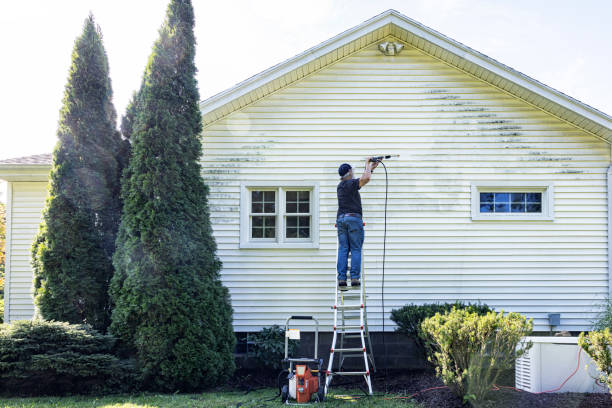 Best Dumpster Area Cleaning  in Golden Triangle, NJ